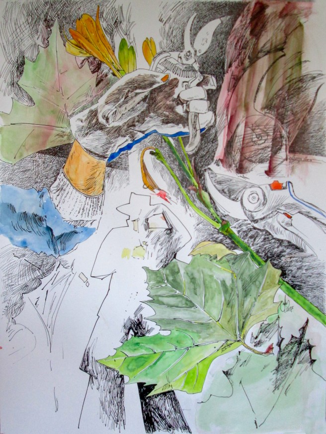 autumn storm 2017 73x55